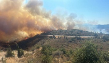 Urla’daki orman yangını kontrol altına alındı   