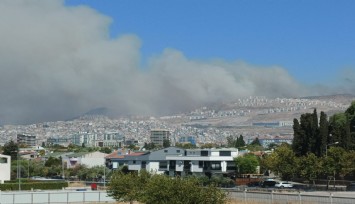 İzmir alev alev: Alevler Bayraklı TOKİ konutarına kadar geldi