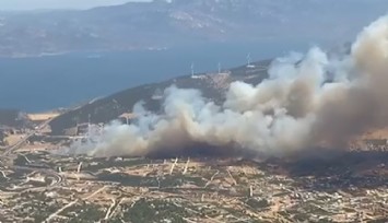 Didim'de iki farklı bölgede yangın