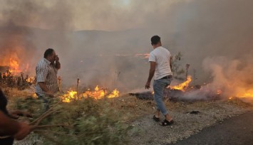 Tire ve Bayındır'da orman yangını: Müdahale devam ediyor