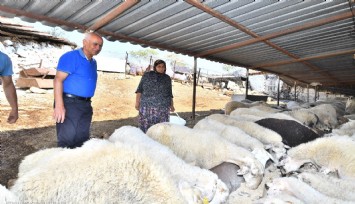 Büyükşehir yangından etkilenen köylerin yaralarını sarıyor