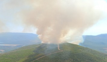 Menderes'te bir orman yangını daha: 3 uçak 8 helikopter müdahale ediyor