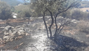 İzmir’de yangın fabrikalara ulaşmadan kontrol altına alındı