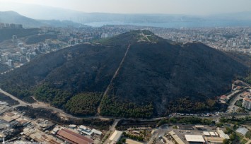 TMMOB’tan yangın raporu: Son üç yılda yangınlar 15 kat arttı, insanların ormana yakın yerleşimi riski arttırdı