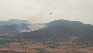 Menderes'te korkutan orman yangını