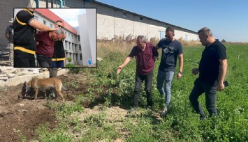 Adana'da kan donduran cinayet