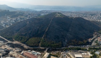 İzmir’de yanan alanların orman dışına çıkarılması Danıştay’a taşındı: Dilekçeyi Tunç Soyer’in kızı Defne Soyer verdi