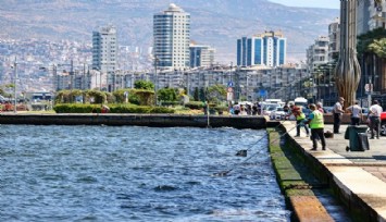 İzmir’i ölü balık kokusu sardı: Kent merkezindeki kötü koku tepkilere neden oldu