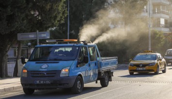 Buca Belediyesi'nden beyaz sineklere karşı ilaçlama