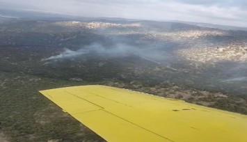 Manisa'daki orman yangınına müdahale devam ediyor