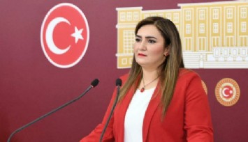 CHP'li Kılıç Rojin Kabaiş cinayetini TBMM'ye taşıdı: Dört bakanlık sus pus