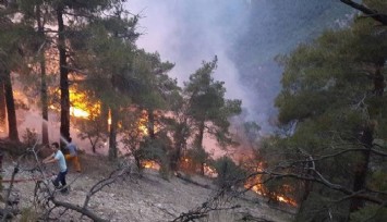 Isparta’da yıldırımın düştüğü ağaç küle döndü