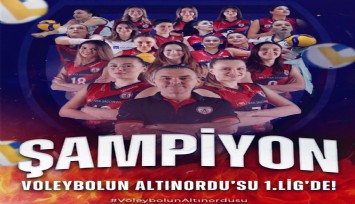 Altınordu Voleybol, 1. Lig’de