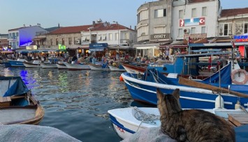 Foça'daki evinde ölü bulundu